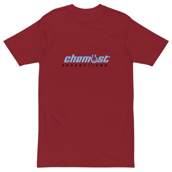 Men’s premium heavyweight tee - Image 5